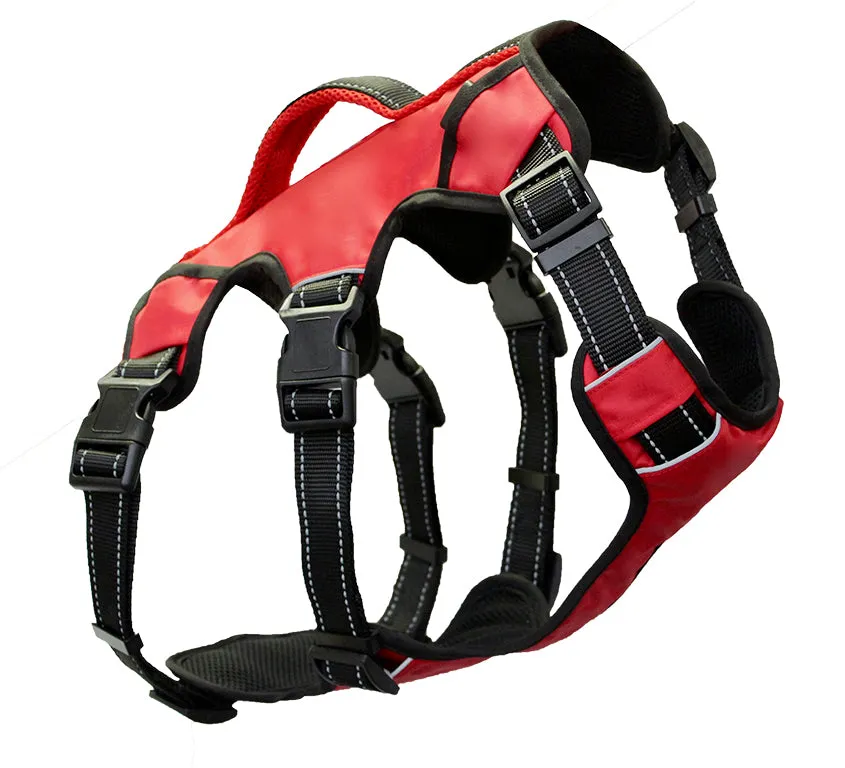 Bay Dog Saranac Saranac Dog Backpack Red Large