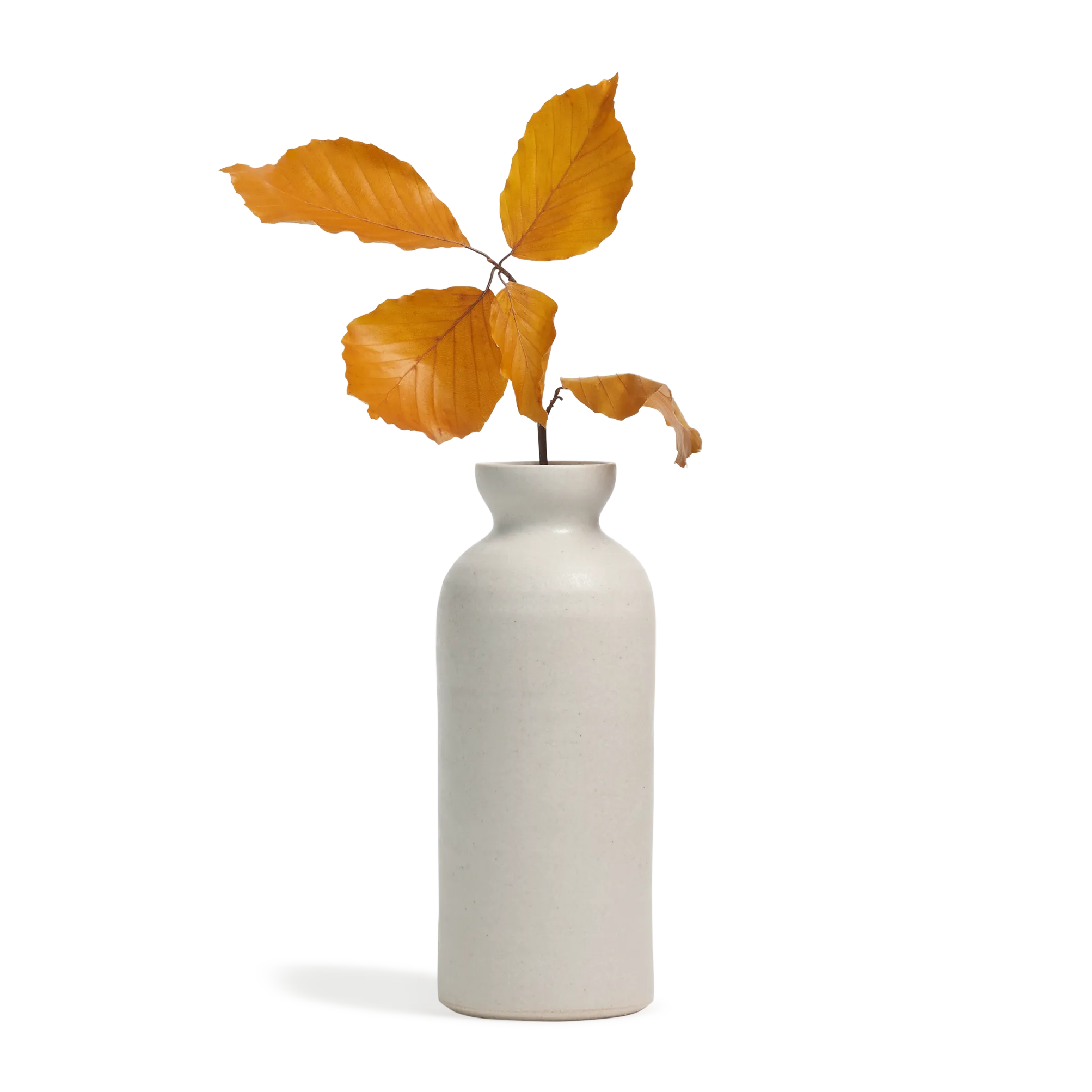 Bottle Vase Trio