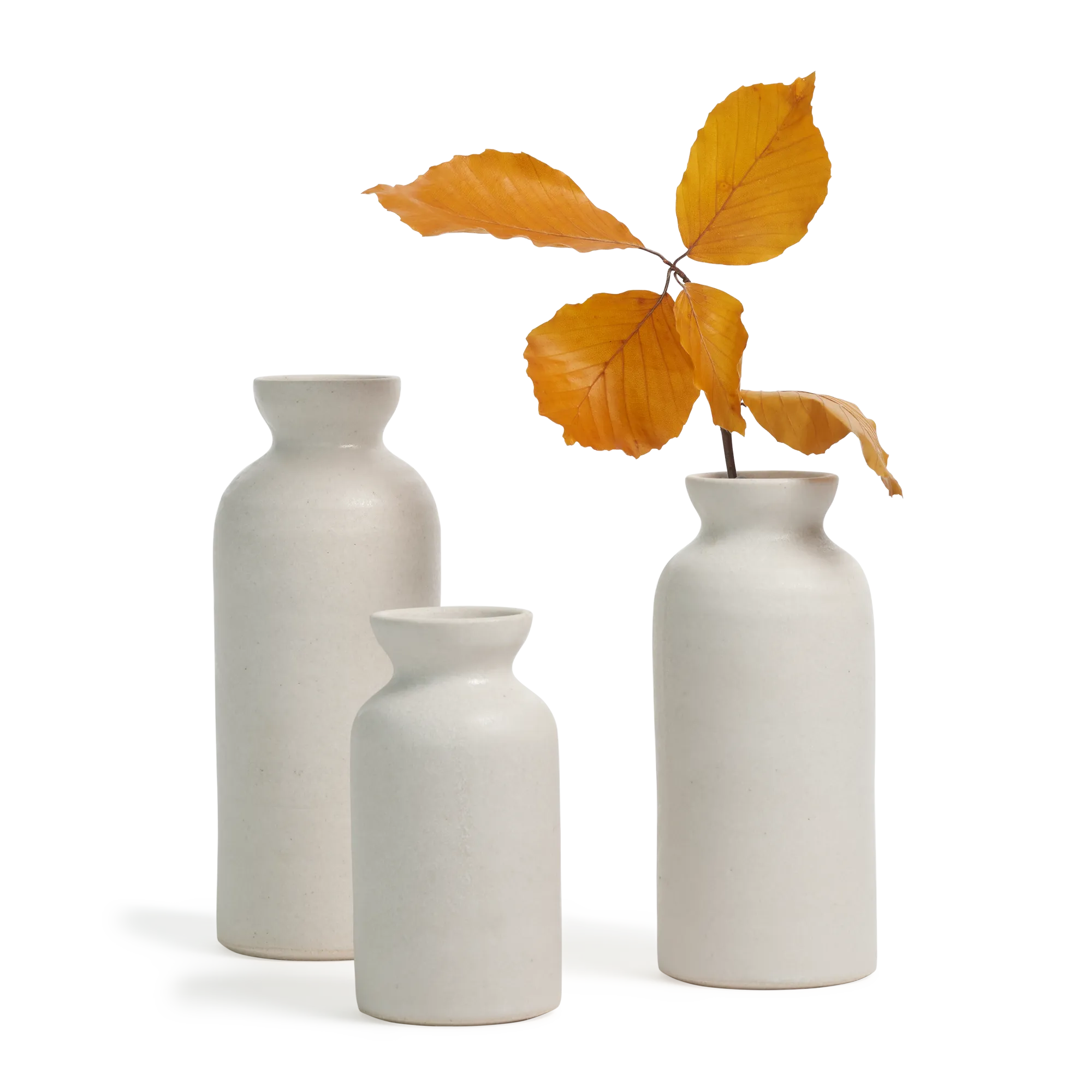 Bottle Vase Trio