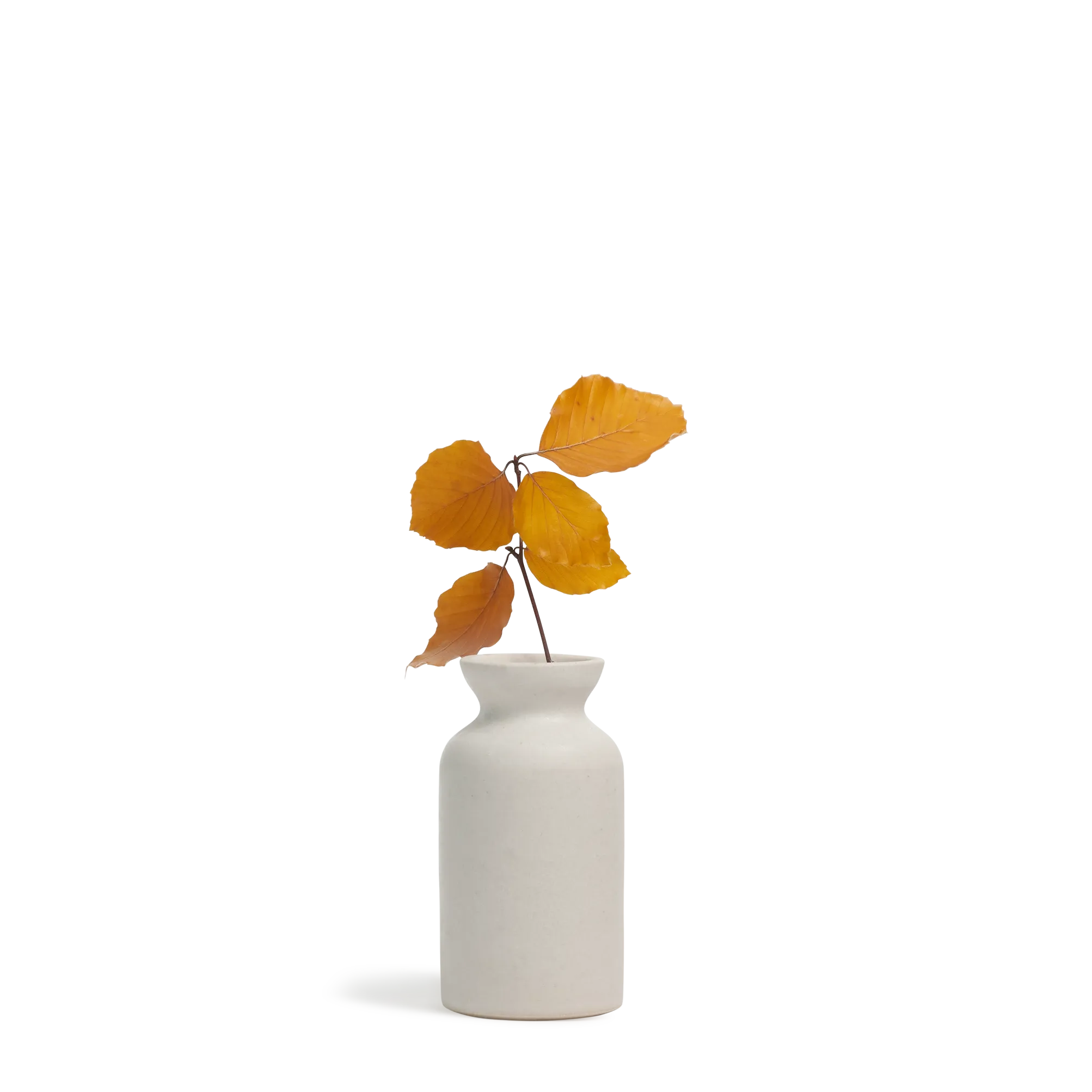 Bottle Vase Trio