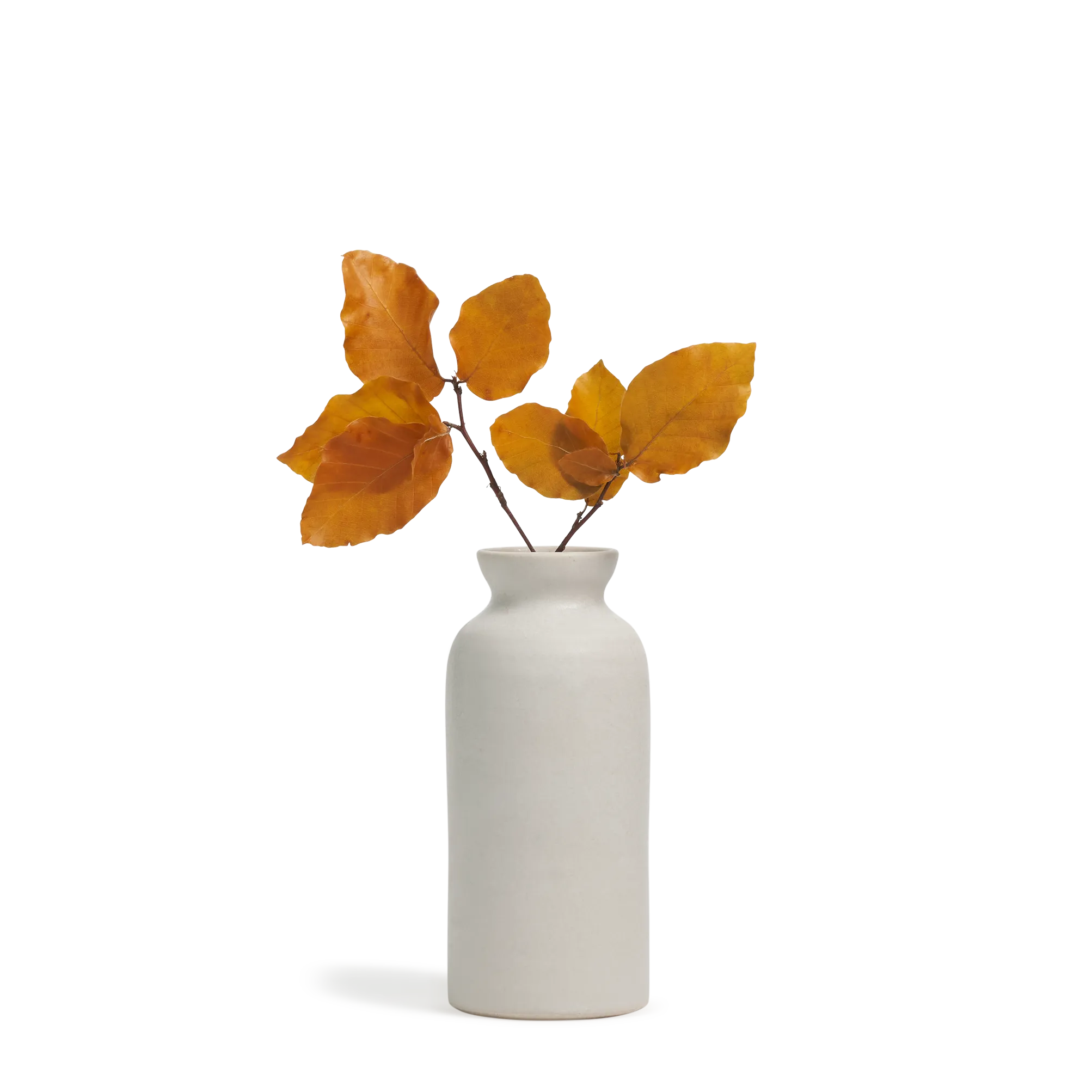 Bottle Vase Trio