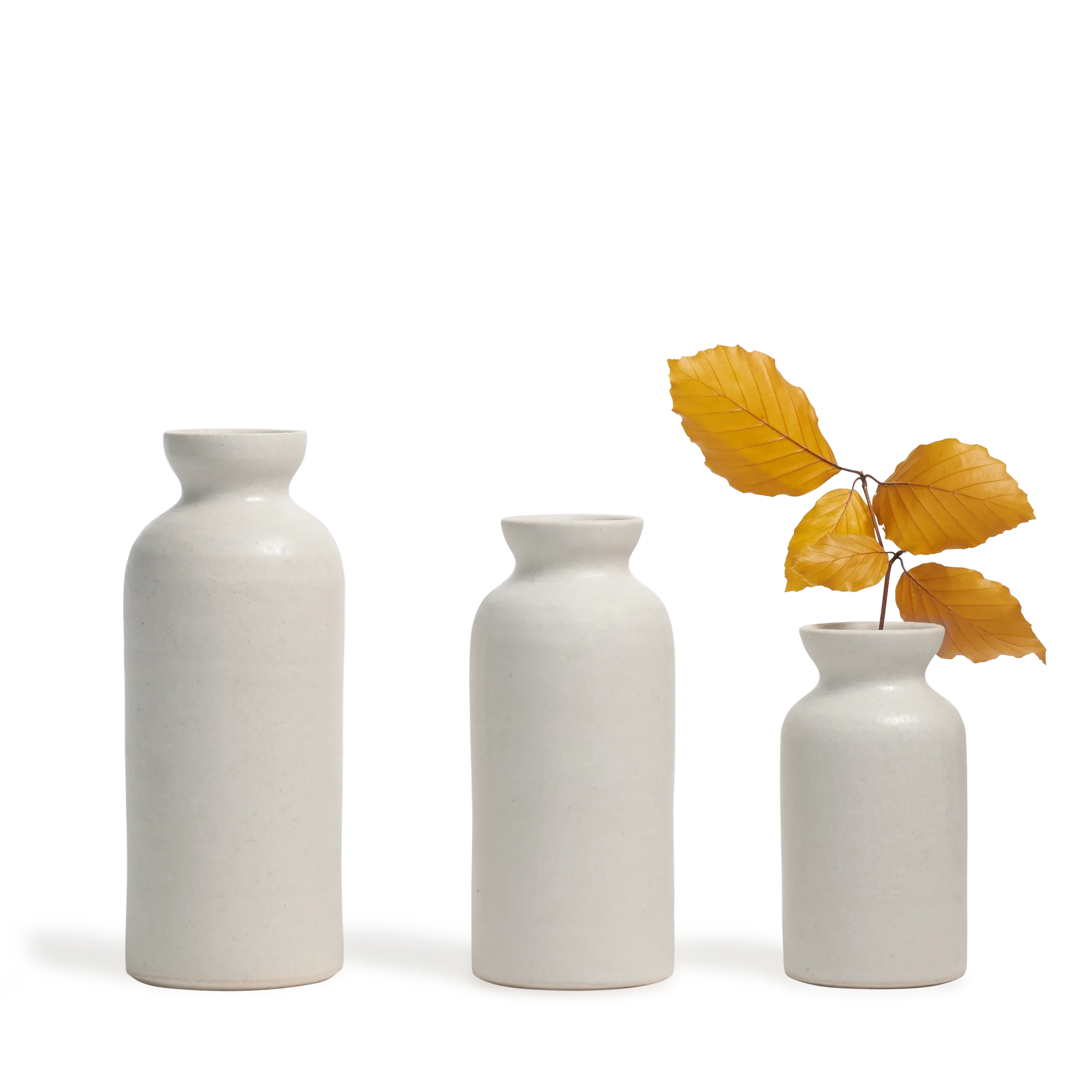 Bottle Vase Trio