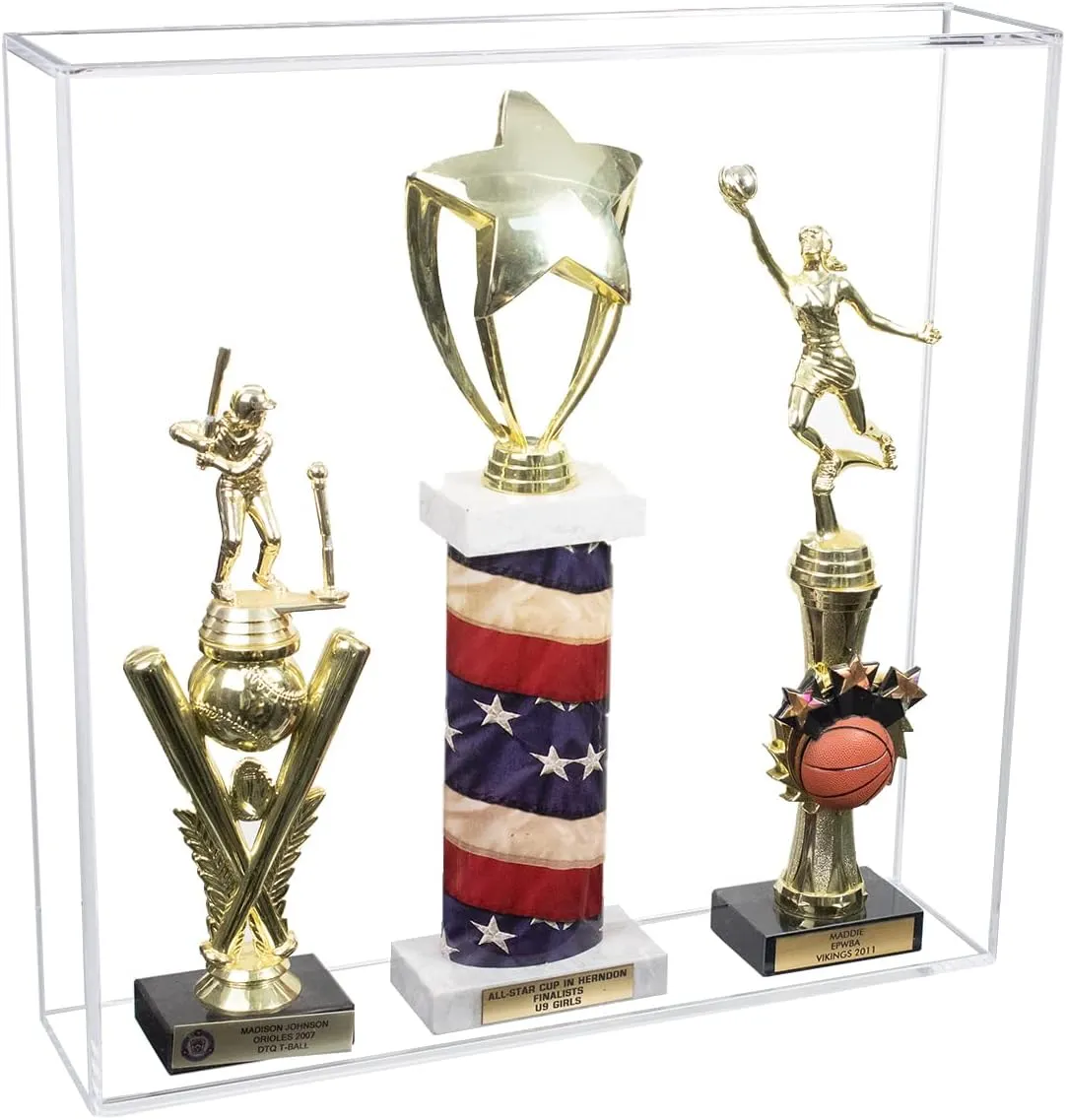Large Versatile Display Case with Wall Mounts -15.5 x 15.5 x 3.5 (SP33/A105B)